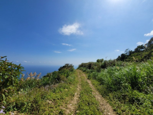 金瀧多越嶺古道(金崙-瀧山-多良)