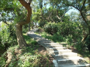 【桃園】南崁山、五酒桶山步道群