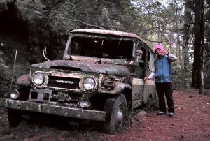 114.12.2-3龍貓公車 對關山 燭台樹~冬季戀歌