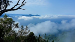 【嘉義】青雲山-五棲嶺-水水古道 探勘趣