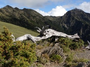 南湖群峰 - 馬比杉山