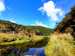 神秘湖-氤氳靈氣中的高山湖