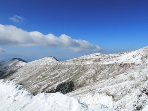 合歡山也有藏王樹冰的雪景