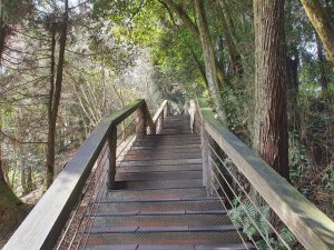 溪頭天文台登山步道