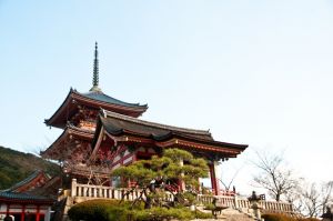日本京都自由行景點推薦不能錯過的Top 8│ 集合京都世界文