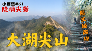 「嘉義最尖的小百岳！大湖尖山 2公里直攻陡坡，爬到懷疑人生？」