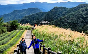 獅公髻尾山，南山寺觀景台