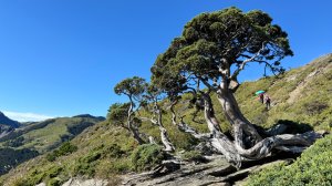 合歡北峰