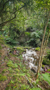 不連貫的十八重溪