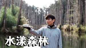 水漾森林｜走進夢幻堰塞湖裡的療癒森林・空拍 × 晨霧 ft. 登山旅行自組團