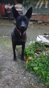 福音山莊>>南港