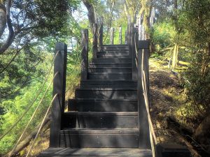 聚興山，新田登山步道