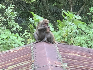 拉卡山、東眼山、志繼山