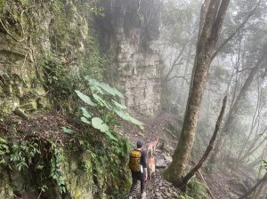 野狗足跡- 狗狗爬山日誌 苗栗縣泰安鄉 上島山(鳥嘴山)