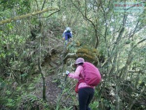 【新北市】烏桶縱走(烏來山大桶山縱走)