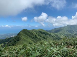 【新北】小觀音山群峰步道｜台北抹茶山｜O型縱走