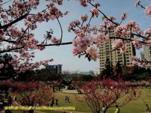 新竹公園