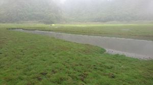 登山菜鳥蘿思勵-單攻松蘿湖