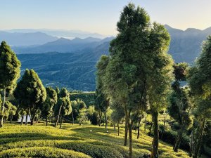 樟空崙山、貓冬望山、大崙山 輕鬆撿