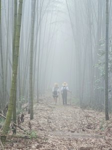 頂石棹步道群 - 2024嘉遊好步道．來嘉走走
