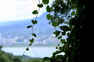 凌雲寺鷹仔尖占山北橫古道觀音山下八里