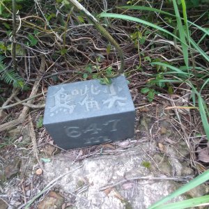 鳥嘴尖 姜子寮山