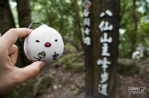 【台中 和平區】八仙山國家森林遊樂區x走走簡單步道不挑戰谷關七雄x攝取森林芬多精