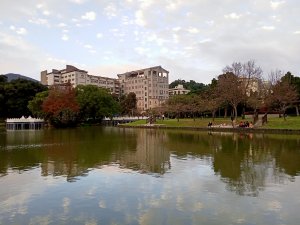 【南山神壽任務尋寶趣】碧湖公園步道憶故人