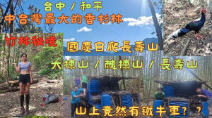 113.10/13桃園／大溪 日治時期歷史廊道-新溪頭縱走（新溪洲山-溪洲山-頭寮山）