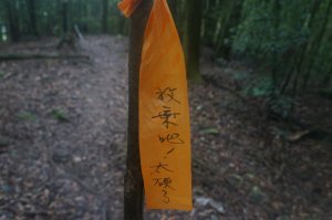 八仙山松鶴線果然硬斗