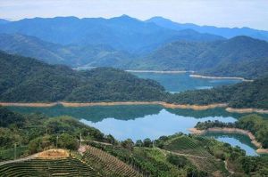 【新北市】石碇-千島湖、八卦茶園、永安步道