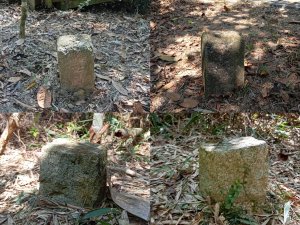 大年初二探勘日月潭「內湖山」及「大牛條山」