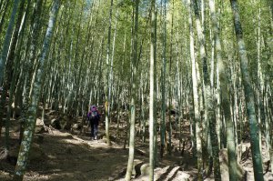 溪頭山、竹崙山、志騰山