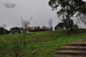 樹林  關公嶺, 基北步道, 大棟山 & 青龍嶺 O 型