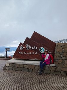 素杏的頭像