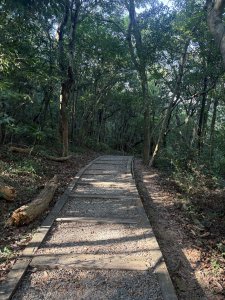 20251004_碧山露營場＿長壽坡＿大崙尾山步道