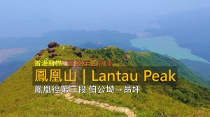 [香港大嶼山] 最後一天還能爬鳳凰山！香港第二高峰登頂後直接去機場