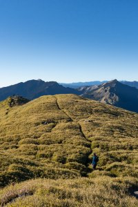 (奇萊南華)奇萊南峰、南華山