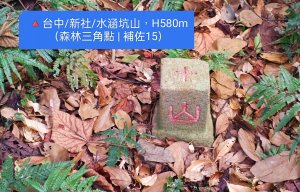 🔺台中/新社/水涵坑山，H580m（森林三角點 | 補佐15）