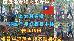 115.10.09新北／桃園（國慶不看煙火來看神木！新北最高峰 ➔ 探訪千年紅檜巨木群：塔曼山、拉拉山神木經典 O型）