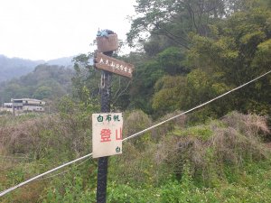 登大克山順訪台版小棉堡