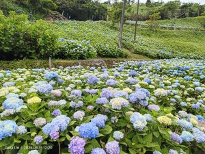 跑馬古道-鵲子山-迴音谷瀑布