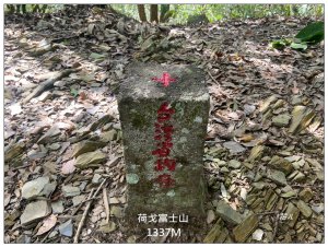 荷戈富士山(史努櫻步道)