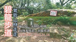 「碧龍步道」,鶯歌山林走走，91隊長陪走，北臨步道經光明山稜線到牛灶坑山、龜公山、碧龍宮