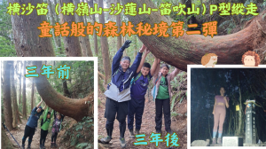 114.01.05台中／和平 再次走入童話般的森林秘境（橫沙笛P型縱走）三年前後