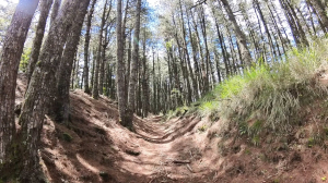 撤退比登頂更值得掌聲：北一段二天一夜審馬陣之行