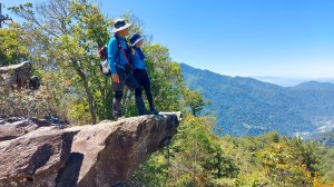 【波津加】谷關七雄4-波津加山步道︱谷關七雄老四~坡真陡#一路陡升爬坡