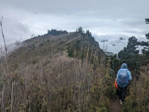 郡大山(百岳#54)、望鄉山登山行