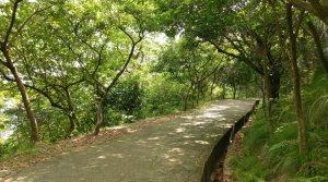 自然生態步道好好玩＠福州山公園步道