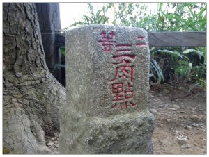 大坑3號步道/頭嵙山